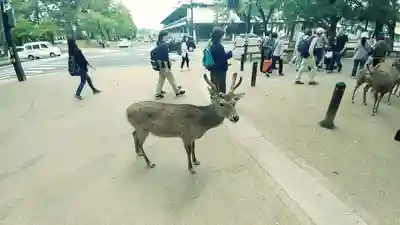 興福寺(奈良県)