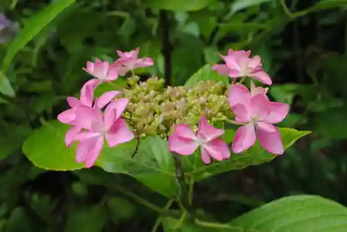 二本松寺(茨城県)