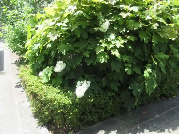東福寺(神奈川県)