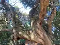 天神社(千葉県)