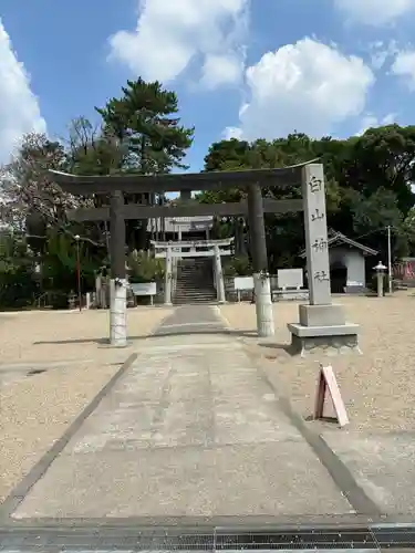 白山神社（小幡）の鳥居