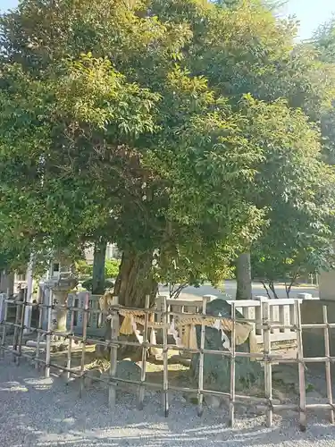 神明神社の自然