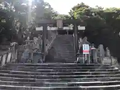 金刀比羅神社(徳島県)