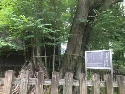 小室浅間神社(山梨県)