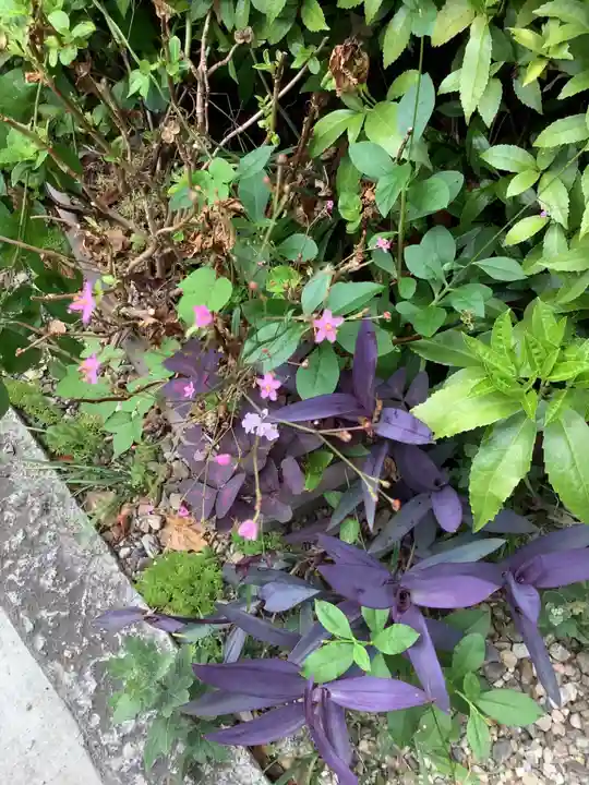 三輪神社の自然