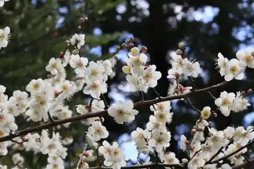 豊景神社の自然