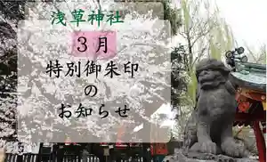 浅草神社(東京都) 2023年03月03日(金)〜(2023年03月01日(水) 17時32分28秒投稿)