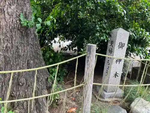 亀ケ池八幡宮(神奈川県)
