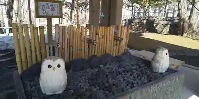 上川神社の手水舎