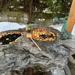 廣田神社～病厄除守護神～(青森県)