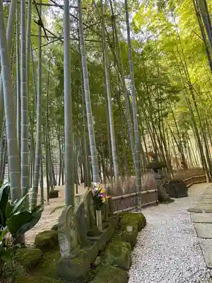 報国寺(神奈川県)
