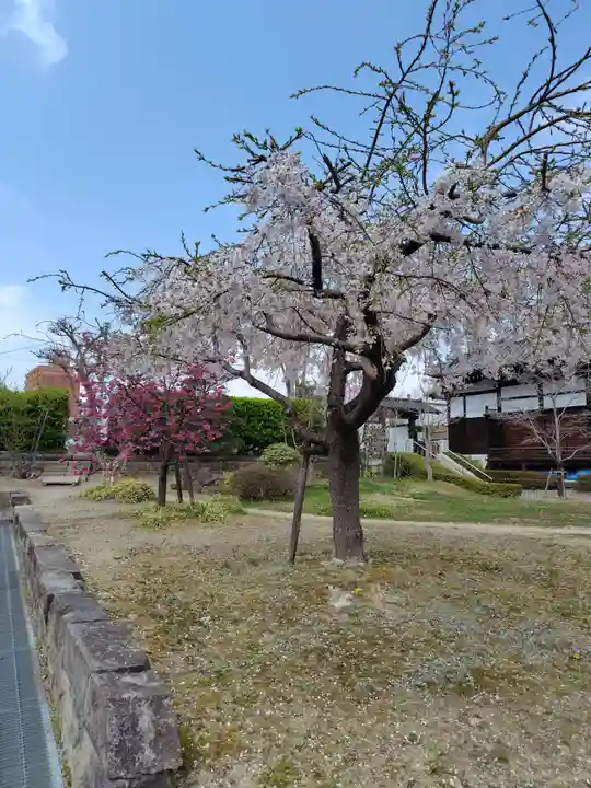 善導寺(福島県)