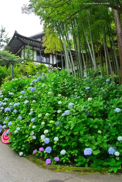 円覚寺(神奈川県)