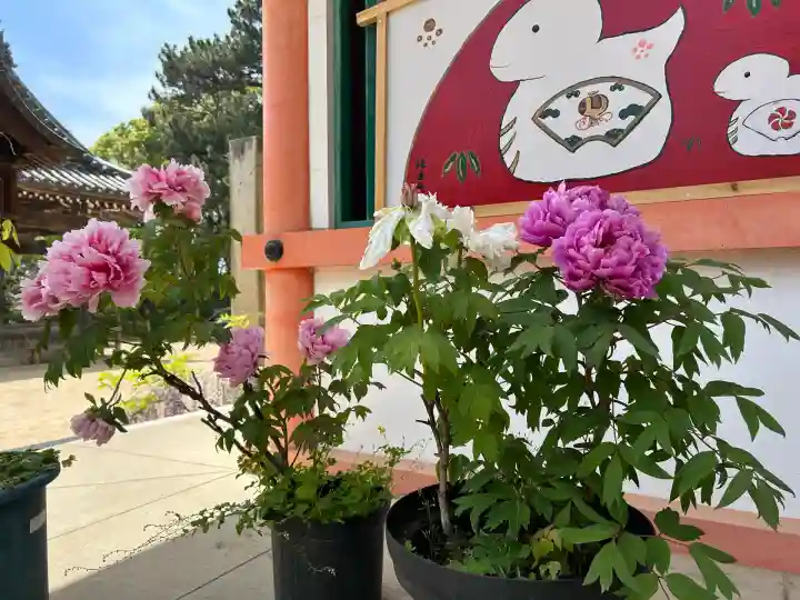 住吉神社(兵庫県)