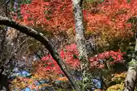 霊山神社の自然