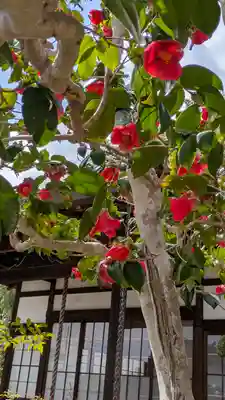 宝城庵(寶城禪菴)(大阪府)