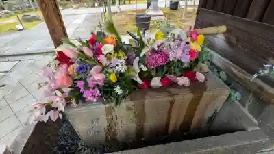 勝林寺(京都府)