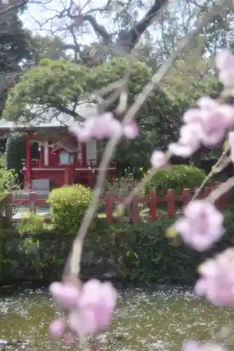 三嶋大社(静岡県)
