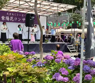白山神社(東京都)