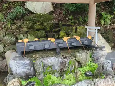 多度大社の手水舎