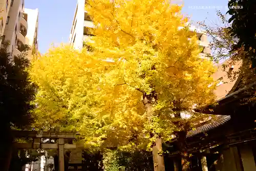 小野照崎神社の自然