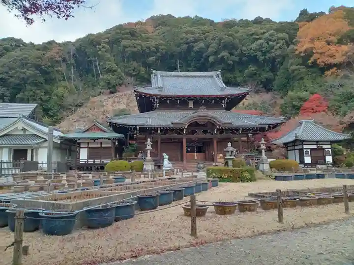 三室戸寺(京都府)