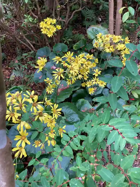 光則寺(神奈川県)