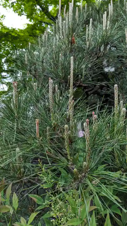 宝蔵寺(京都府)