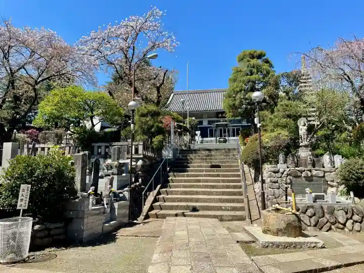 本立寺の{uncategorized: "未分類", other: "その他", undefined: "問題あり", building: "その他建物", grave: "お墓", sacred_gate: "鳥居", guardian: "狛犬", statue: "像", buddha: "仏像", history: "歴史", nature: "自然", garden: "庭園", animal: "動物", pagoda: "塔", temizu: "手水舎", mountain_gate: "山門・神門", sanctuary: "本殿・本堂", subordinate: "末社・摂社", art: "芸術", scenery: "景色", jizo: "地蔵", ema: "絵馬", goshuin: "御朱印", omikuji: "おみくじ", items: "授与品その他", amulet: "お守り", goshuincho: "御朱印帳", eats: "食事", festival: "お祭り", votive_dance: "神楽", shichigosan: "七五三参", wedding: "結婚式", experience: "体験その他", initially: "初詣", around: "周辺", anti_infection: "感染症対策"}