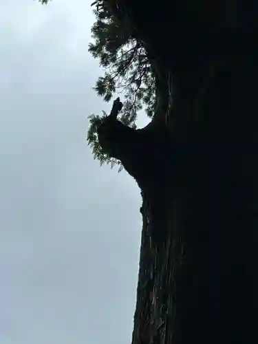 霧島神宮(鹿児島県)