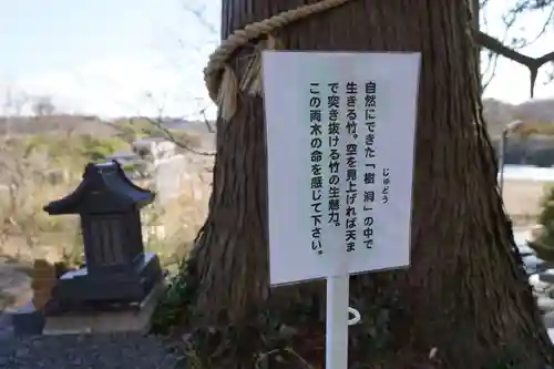 阿久津「田村神社」（郡山市阿久津町）旧社名：伊豆箱根三嶋三社の歴史