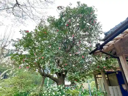 浄得寺(三重県)