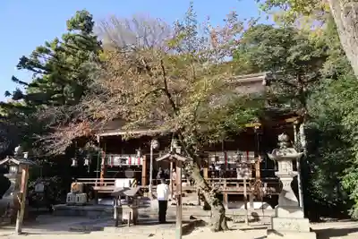 廣瀬大社(奈良県)