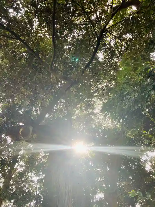 鷲宮神社(茨城県)
