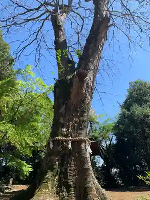 大胡神社(群馬県)