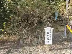 矢奈比賣神社（見付天神）の庭園