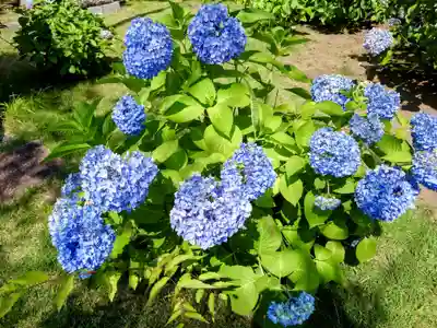 極楽寺(群馬県)