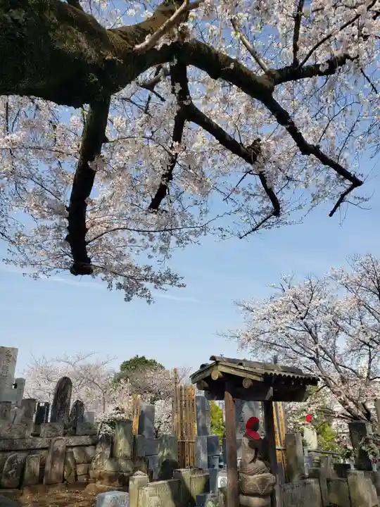 東光寺(東京都)