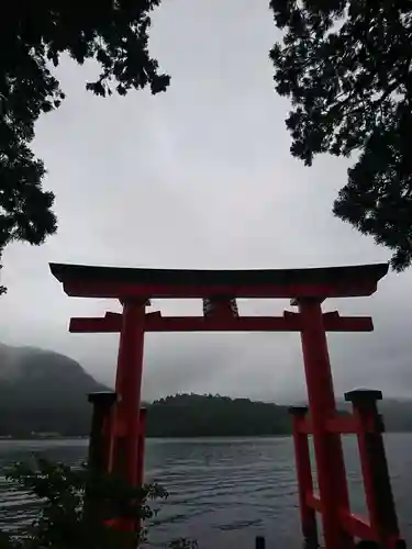 箱根神社の鳥居