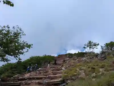 日光二荒山神社奥宮の自然