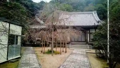南淋寺のその他建物