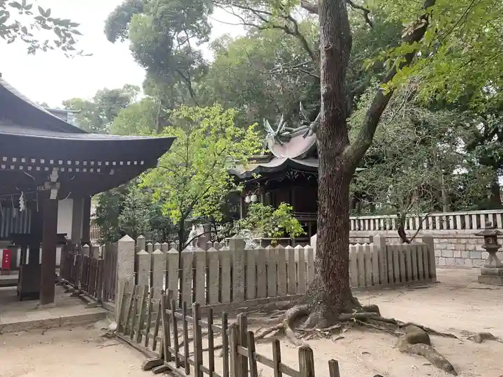 菊水天満神社(湊川神社末社)(兵庫県)