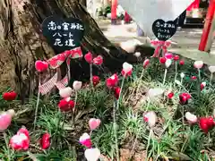 宮地嶽神社の自然