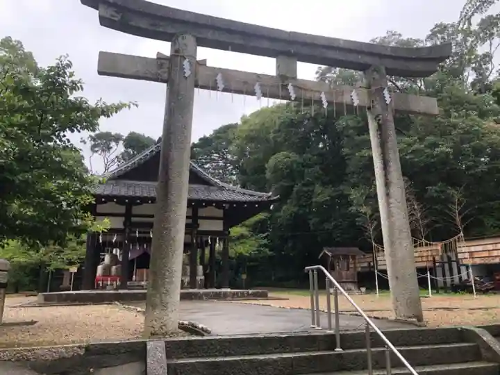 許波多神社(小幡東中鎮座)の鳥居