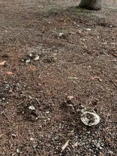 鹿島神社の自然