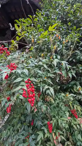 京都大神宮(京都府)