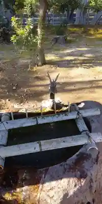 綾戸國中神社の手水舎