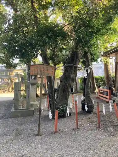 賀茂神社(滋賀県)