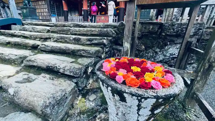 丹生都比売神社(和歌山県)