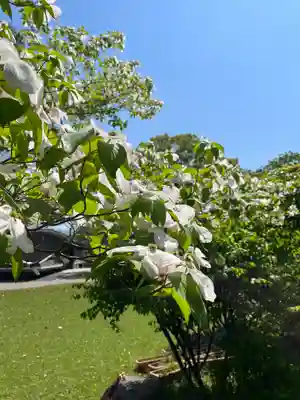 大安寺(奈良県)